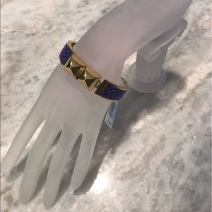 Micheal Kors Glam Rock Hinged Bangle